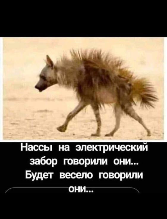 Ура, выходные! 🎉 Время отдохнуть, расслабиться и зарядиться позитивом. может, которые, только, будет, дальше, смеха, взрыву, Готовьтесь, хохотать, улыбнуться, заставят, точно, надписями, лучше, картинки, лучшие, самыесамые, собрали, шуток, уморительных