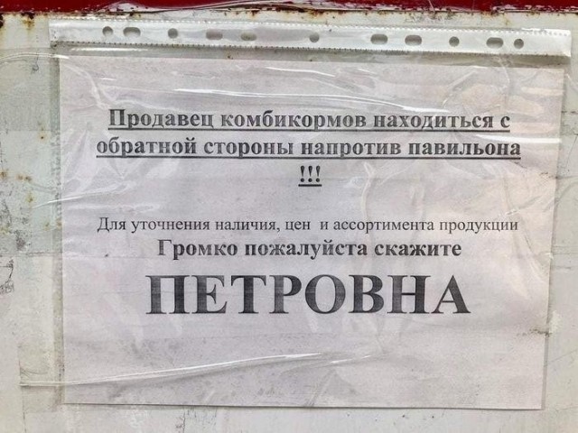 картинка 36c39d945f 20903721