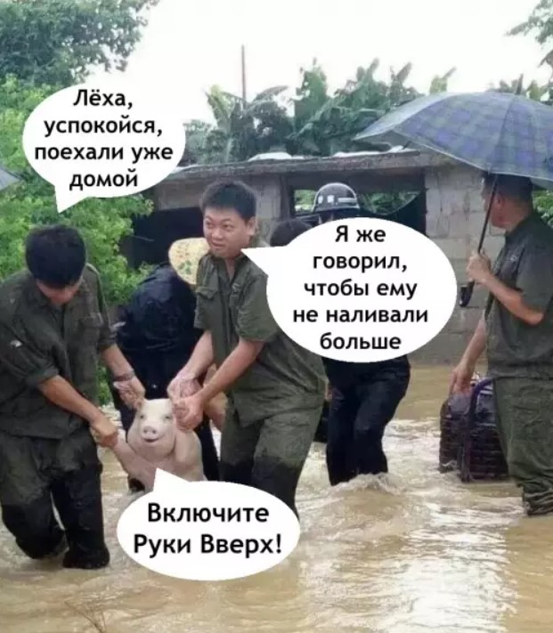 картинка 39a3027846 20869624