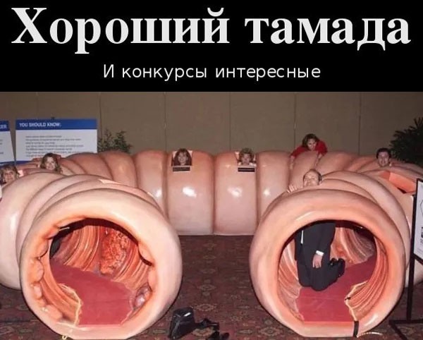 картинка 3c0475f7a9 gotovy k porcii derzkogo ostrogo i neprilichnogo jumora 18