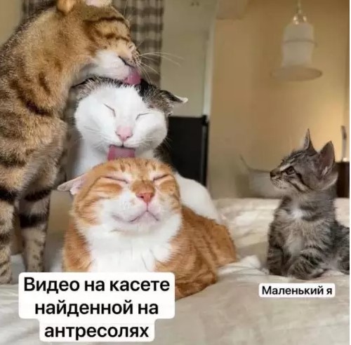 картинка 3c31b813d9 malenkaja pjatnica uzhe zdes podnimaem nastroenie v seredine nedeli 9