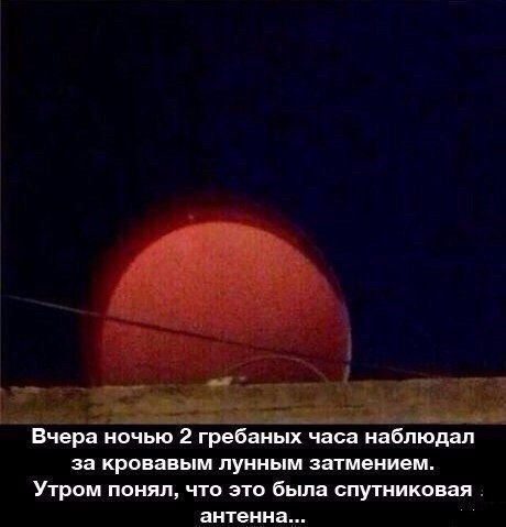 Улыбнитесь шире: Ваш идеальный сборник приколов для выходных! сборник, самые, станет, выходные, позитива, чтобы, Устали, каждый, Пусть, веселья, беззаботного, билет, праздником, личный, взрыву, Готовьтесь, вперед, неделю, энергией, позитивной