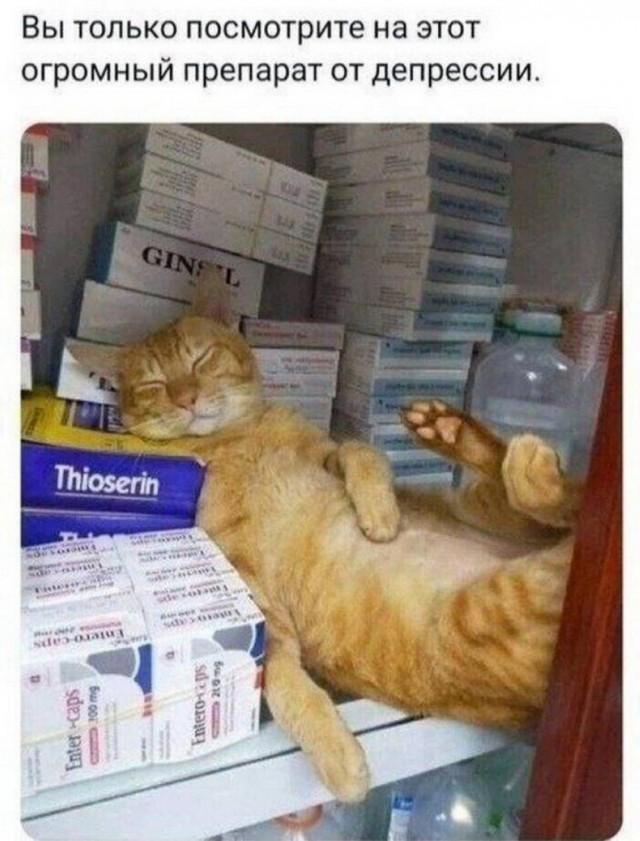 картинка 40707b7939 20869419