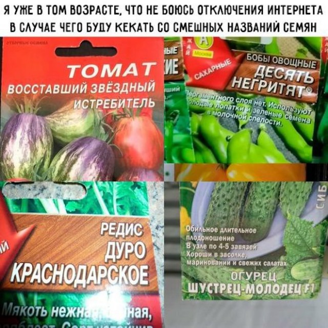 картинка 4328c59d80 20851082