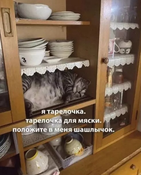 картинка 439cf39e97 20868827