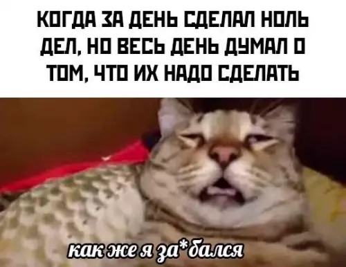 картинка 44b05e4230 chernyj jumor i poshlye prikoly dlja cenitelej 12