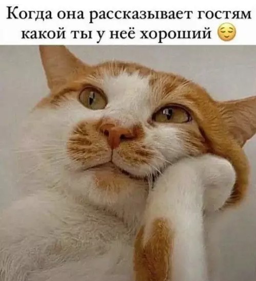 картинка 483031a849 ura pjatnica zarjazhaemsja pozitivom pered vyhodnymi 4