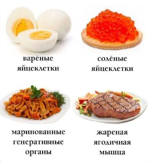 картинка 48c4227539 20903013