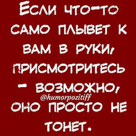 картинка 490660fc16 20870090