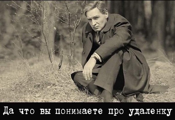 картинка 49dd8c5d23 20903699