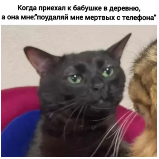 картинка 4a13ef217d chernyj jumor i poshlye prikoly dlja cenitelej 9