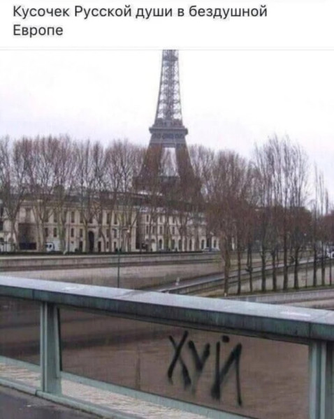 картинка 4a6c6b801b 20869093