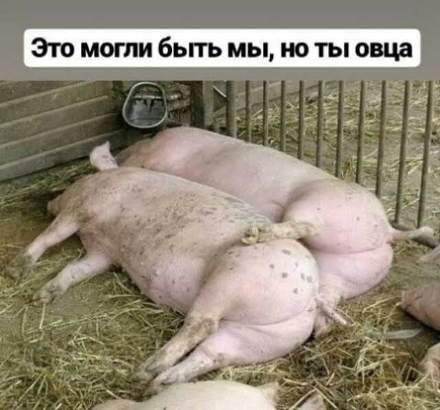 картинка 4cef737dcd 20849593