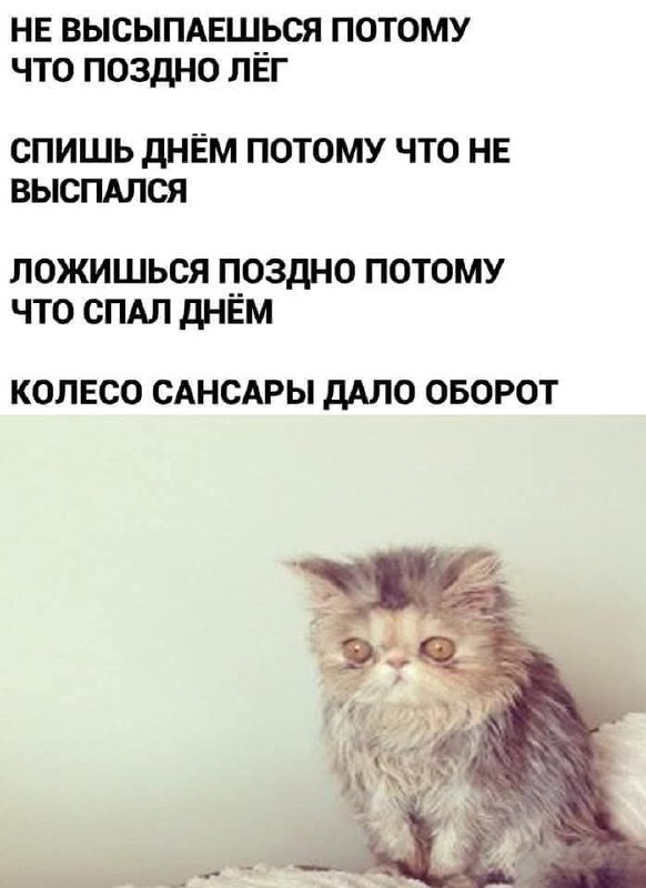 Ура, выходные! 🎉 Время отдохнуть, расслабиться и зарядиться позитивом. может, которые, только, будет, дальше, смеха, взрыву, Готовьтесь, хохотать, улыбнуться, заставят, точно, надписями, лучше, картинки, лучшие, самыесамые, собрали, шуток, уморительных