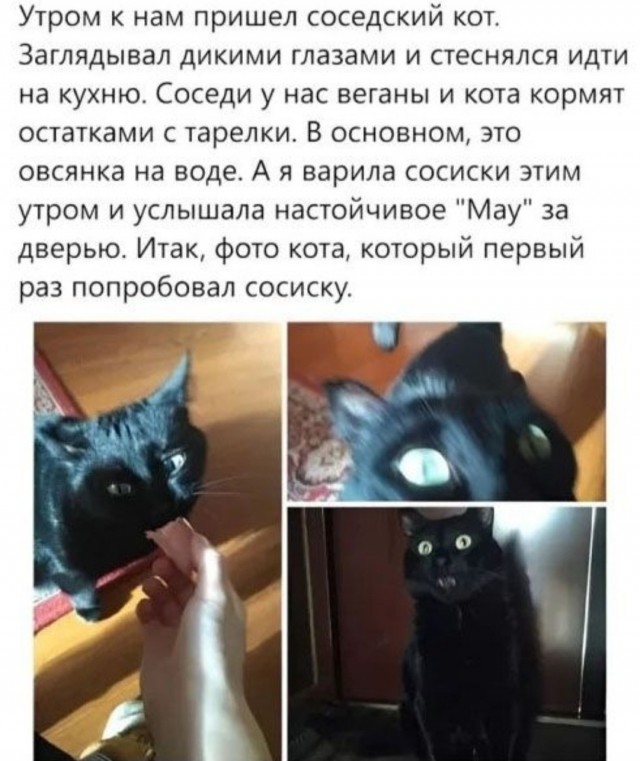 Пятница — время смеяться! Уморительная подборка мемов для отличного настроения 🎉 друзья, картинок, рабочей, долгой, после, настроение, поднимет, точно, подборка, смеяться, Готовьтесь, надписями, мемов, пятница, уморительных, порцию, свежую, самую, собрали, позитивным