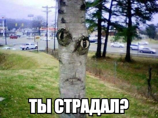 картинка 506c0de532 20851123