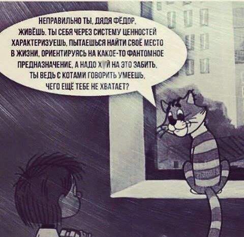 картинка 529b936d31 20868193