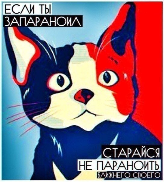 картинка 53216af6b8 20868240