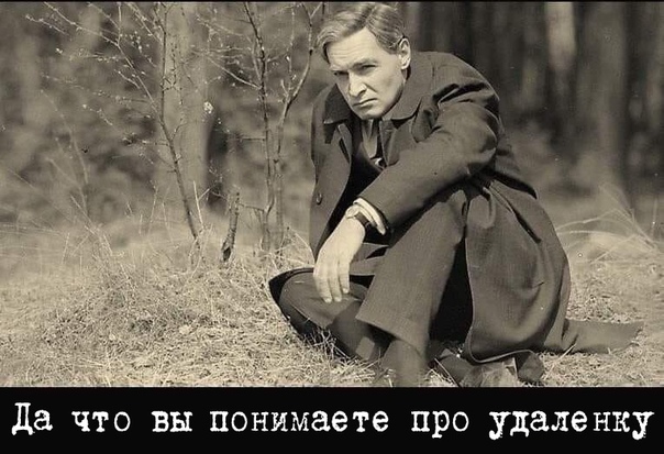 картинка 53b8967f70 00000