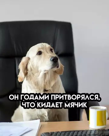 картинка 53dc5c0ce5 20927364