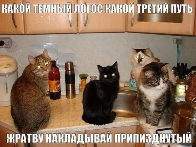 картинка 54f7ac3887 20868257