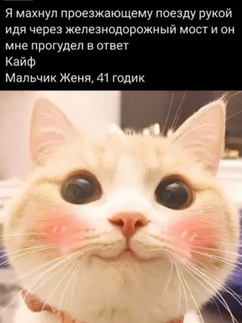 Понедельник не так уж и страшен! 😉 неделю, понедельник, Привет, получайте, 😊Готовы, зарядиться, позитивом, Тогда, теряйте, времени, листайте, дальше, смеха, утреннего, хорошим, 😄🤣Пусть, станет, «тяжёлым, стартом», ярким