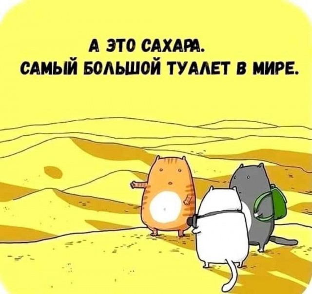 Выходные + смешные мемы = идеальное настроение! Забудь, самые, Проведи, позитива, заряд, подарят, настроение, поднимут, гарантированно, которые, уморительные, отобрали, скуку, тщательно, смехом, искренним, эмоциями, яркими, наполнены, будут
