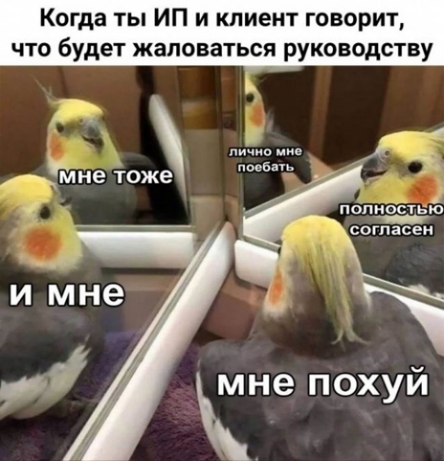 картинка 5b6d14533a chernyj jumor v memah dlja teh kto gotov k ostrote 6