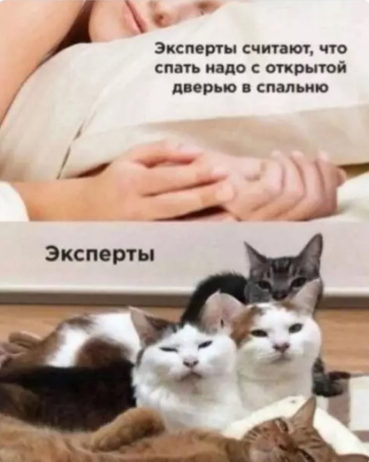 Улыбнитесь шире! Новый сборник шуток и приколов уже здесь, чтобы поднять вам настроение! каждая, Тогда, настроения, Устали, поездку, Готовы, веселья, искреннего, минут, несколько, подарят, просто, скрасят, скучную, смеха, тяжелого, после, расслабиться, помогут, ситуации