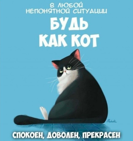 картинка 60e7c64dc7 20922624