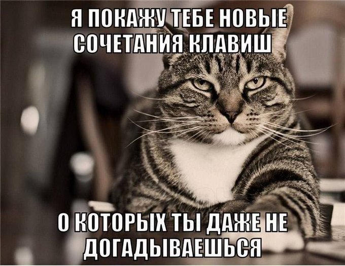 Понедельник не так уж и страшен! 😉 неделю, понедельник, Привет, получайте, 😊Готовы, зарядиться, позитивом, Тогда, теряйте, времени, листайте, дальше, смеха, утреннего, хорошим, 😄🤣Пусть, станет, «тяжёлым, стартом», ярким