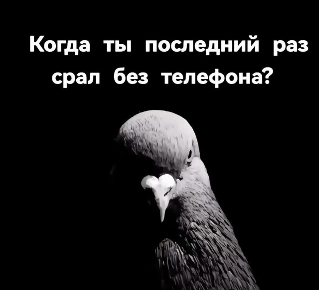 картинка 6469440879 20869874