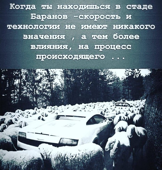 картинка 654b2cb9f1 20851204