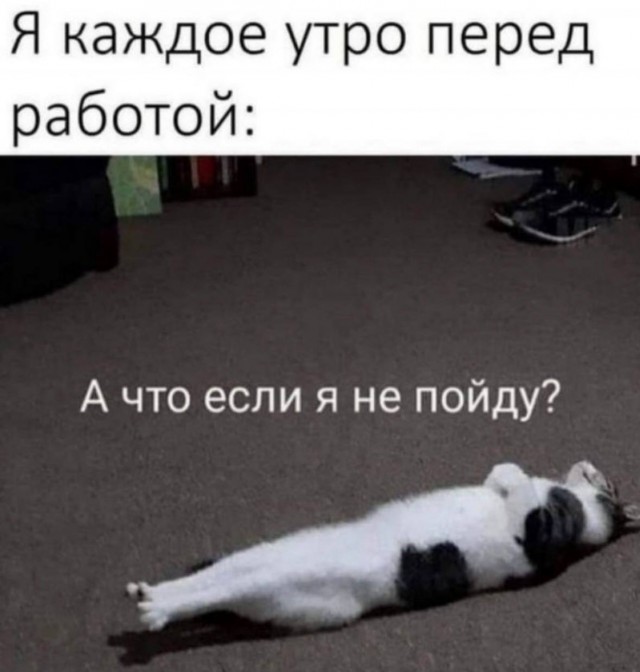 картинка 6b9fec0327 20850723