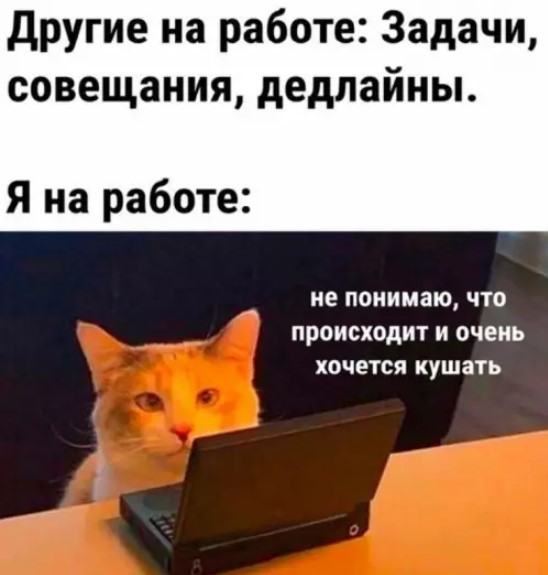 Улыбнитесь шире! Новый сборник шуток и приколов уже здесь, чтобы поднять вам настроение! каждая, Тогда, настроения, Устали, поездку, Готовы, веселья, искреннего, минут, несколько, подарят, просто, скрасят, скучную, смеха, тяжелого, после, расслабиться, помогут, ситуации