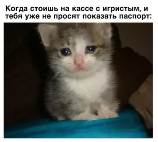 картинка 6f481b76aa 20881290