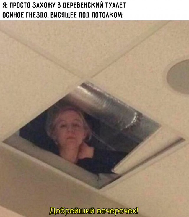 картинка 70d3a9f10b 20848520