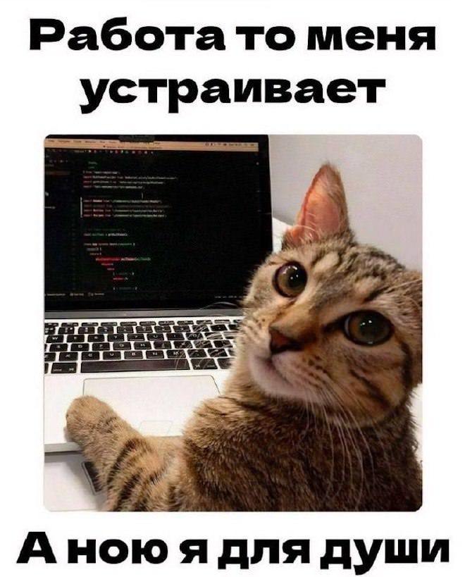 Хотите порцию отличного настроения? Вам сюда! прочесали, который, благодарноПредыдущая, очень, будет, настроение, пропустите, духНе, поднимет, точно, проверенный, просторы, Только, сетей, социальных, комментарии, смешные, самые, найти, чтобы