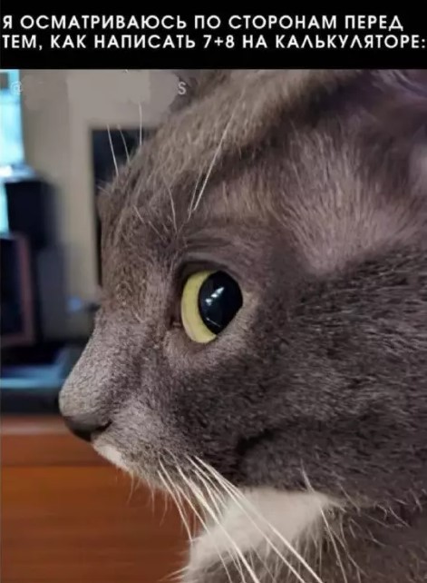 Ура, выходные! Готовьтесь смеяться до упаду с нашим мега-сборником шуток и мемов! которые, выходные, точно, чтобы, сборник, настроение, самый, смешные, меткие, самые, подобрали, юмораПодписи, шедевры, заставят, появившиеся, только, новые, интернета, хитами, стали