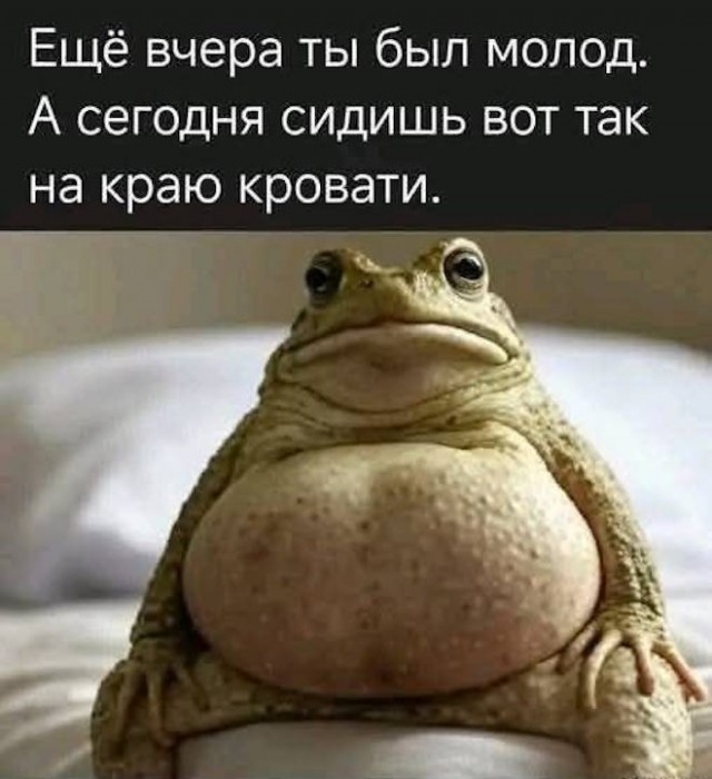 картинка 72ccc092f7 20927318