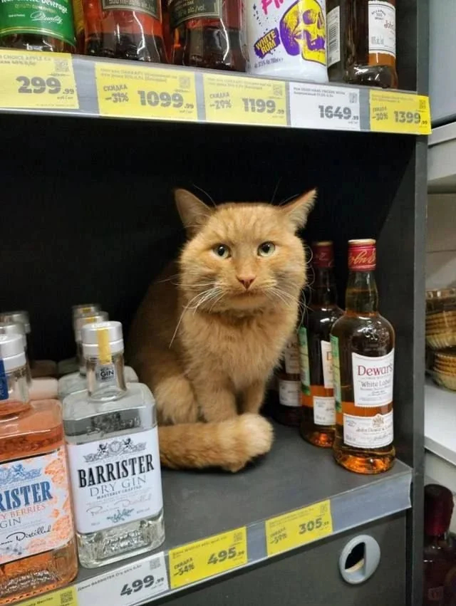 картинка 73b6d5d2c0 seredina nedeli idealnoe vremja dlja dozy pozitiva 000