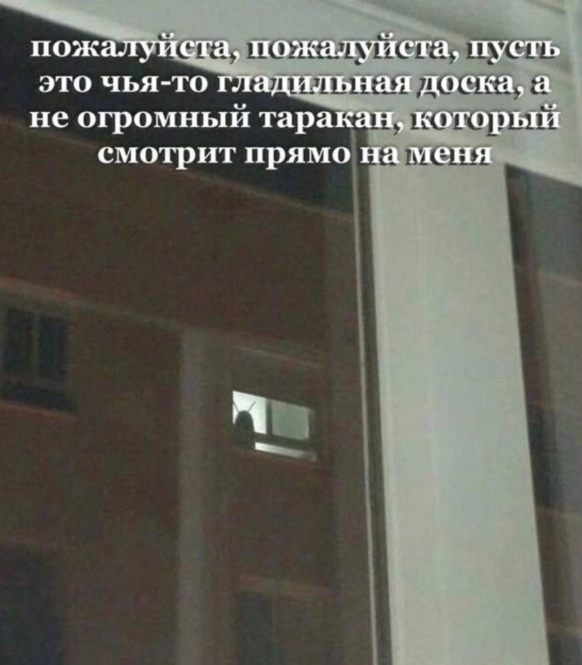 картинка 762cb83c66 20851117