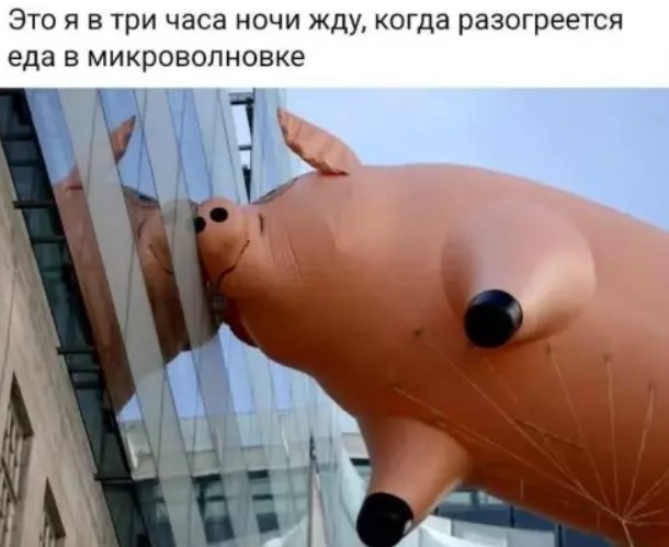 картинка 76391e96dd 20869637