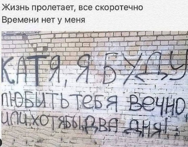 картинка 784c1ba8c7 20883569