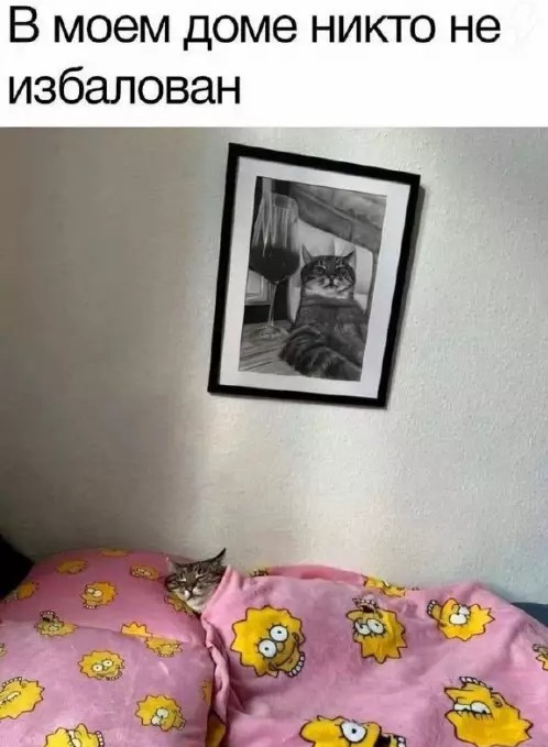 Выходные + смешные мемы = идеальное настроение! Забудь, самые, Проведи, позитива, заряд, подарят, настроение, поднимут, гарантированно, которые, уморительные, отобрали, скуку, тщательно, смехом, искренним, эмоциями, яркими, наполнены, будут