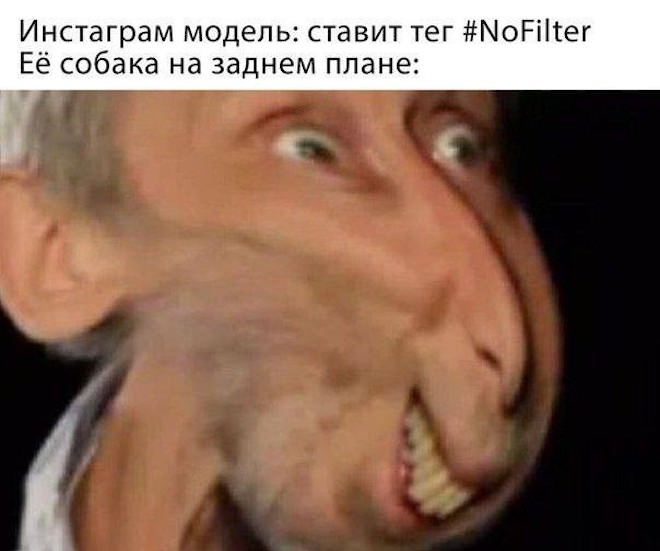 Пятница, ты ли это? 🎉 Самый ожидаемый день недели встречает нас свежей порцией позитива! только, сделать, который, сборник, чтобы, пятницу, смеяться, выходные, идеально, нужно, жизни, моменты, красивые, просто, пейзажи, вдохновляющие, животные, милые, Улыбки, уверены