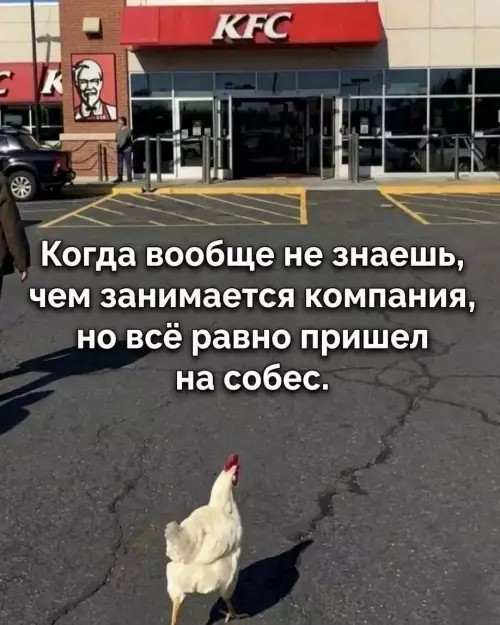 картинка 7b1d8fdd26 20927360