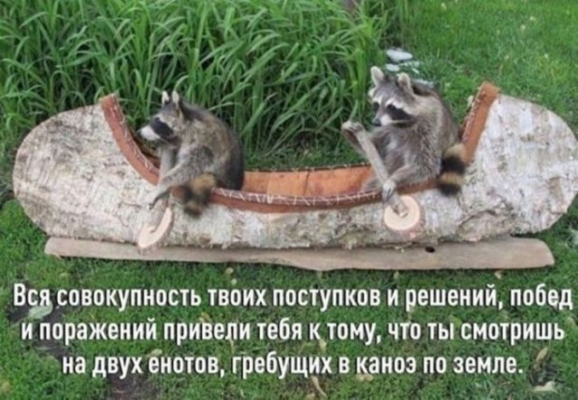 Пятница — время смеяться! Уморительная подборка мемов для отличного настроения 🎉 друзья, картинок, рабочей, долгой, после, настроение, поднимет, точно, подборка, смеяться, Готовьтесь, надписями, мемов, пятница, уморительных, порцию, свежую, самую, собрали, позитивным