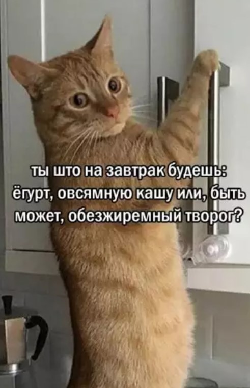 картинка 81003a02a9 20868819