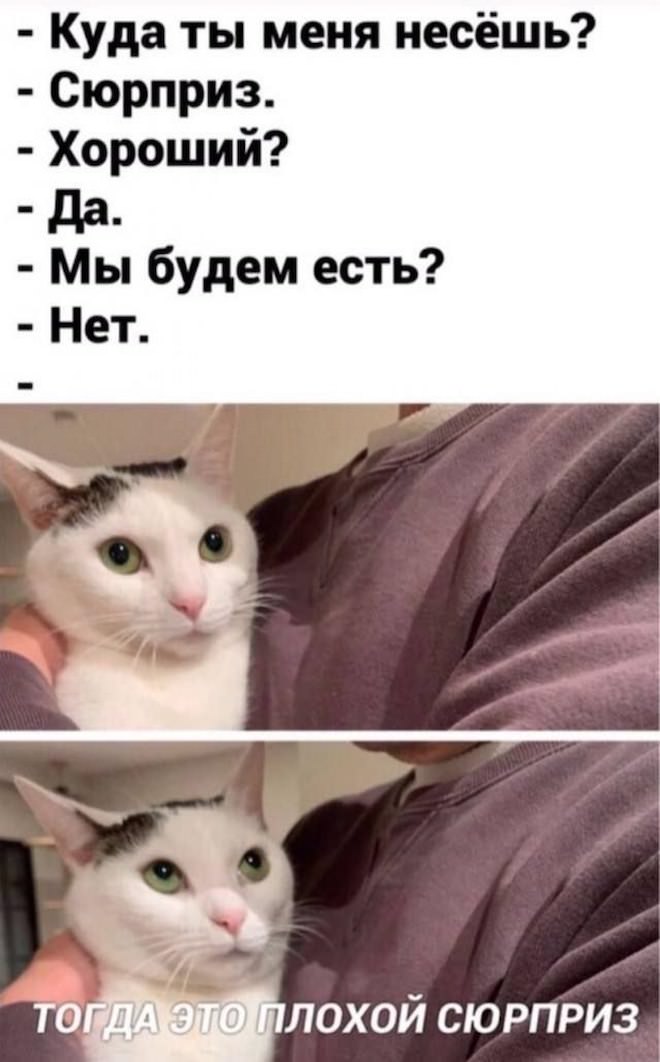 картинка 833e26f3e3 seredina nedeli malenkaja pjatnica podborka pozitiva dlja zarjada jenergii 15